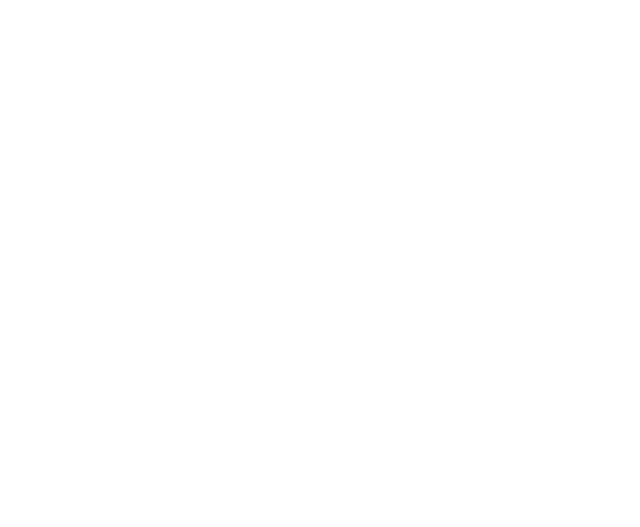 Gemini Caravans